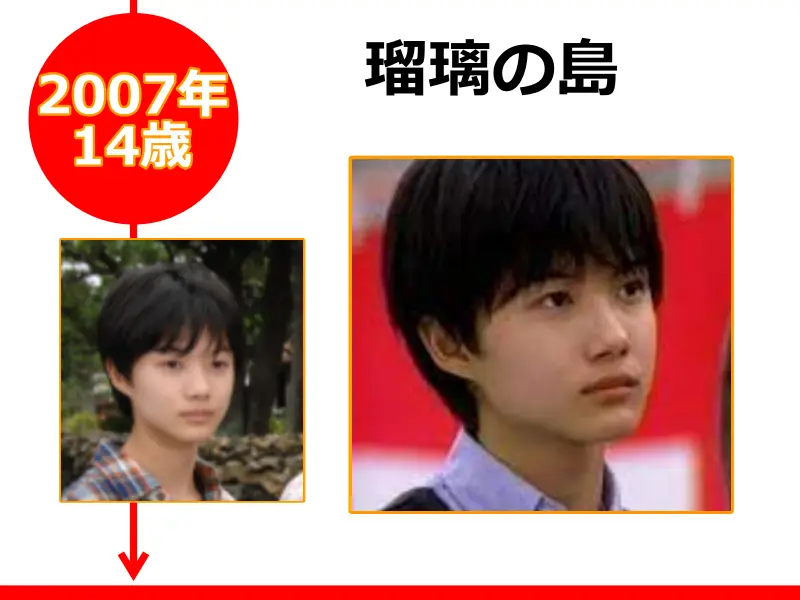 神木隆之介さんが2007年（14歳のとき）に出演したドラマ「瑠璃の島」